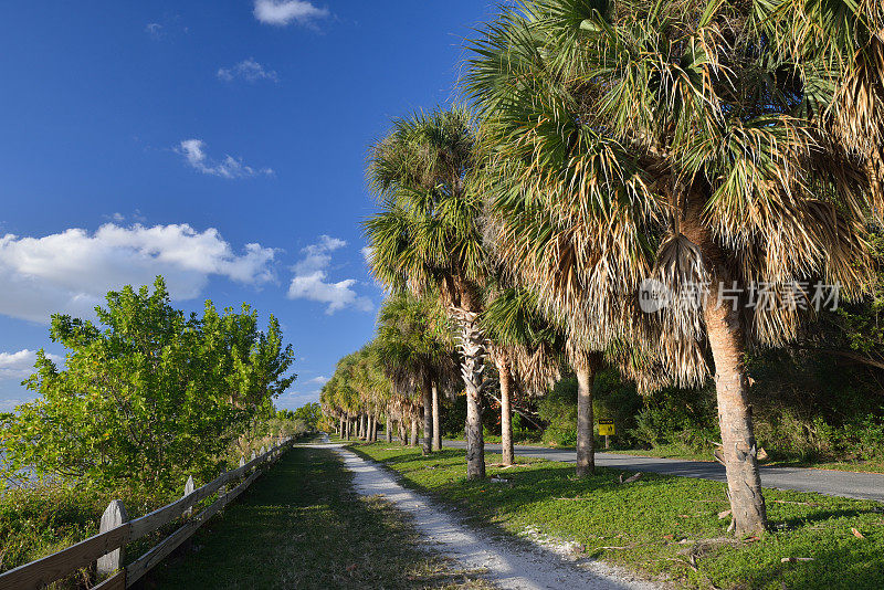 Bill Baggs Cape Florida州立公园的小道